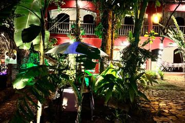 Photo 44