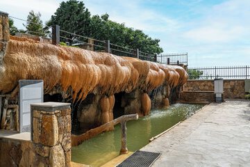 Natural pool