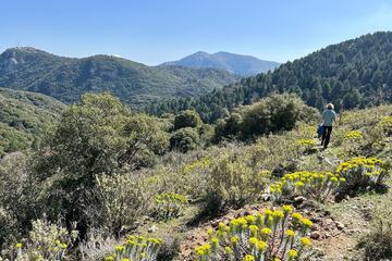 Hiking