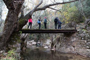 Ecotours