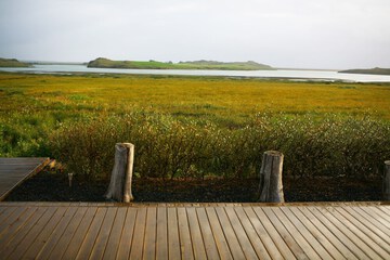 Lake view