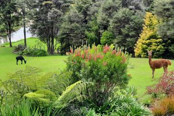 Photo 25