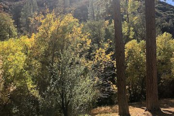 Land view from property