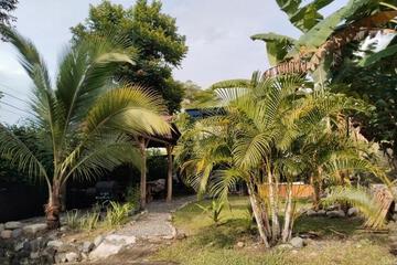Photo 35