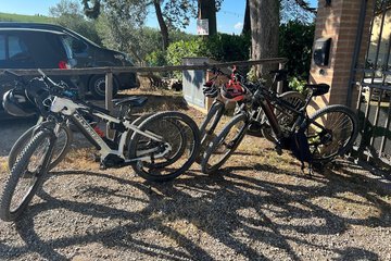 Bicycling