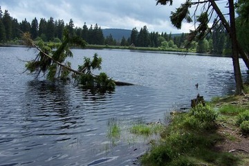 Hiking