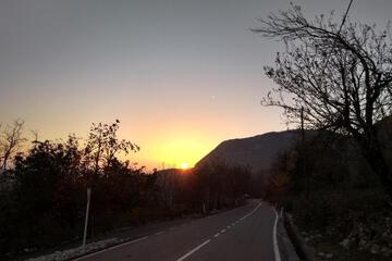 Photo 37