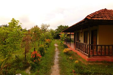 Garden view