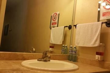 Bathroom sink