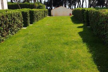Photo 52