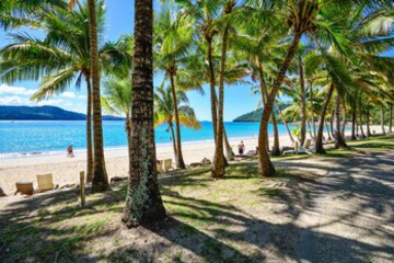 Beach or Ocean View