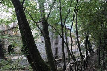 Photo 29