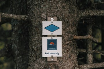Hiking
