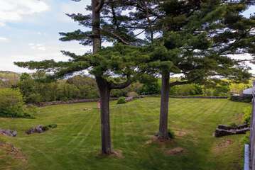View from room