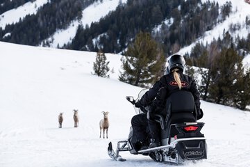 Snowmobiling