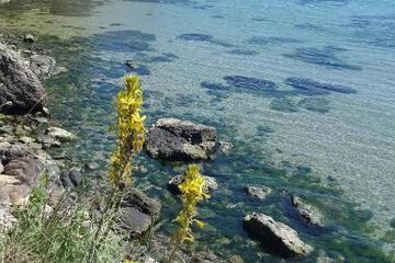 Photo 48