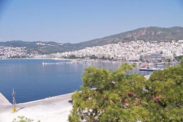 Photo 42