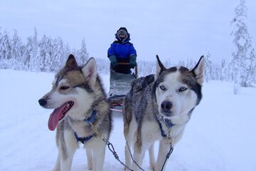 Snowshoeing