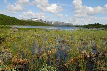 Photo 43