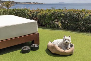 Pet-friendly amenities