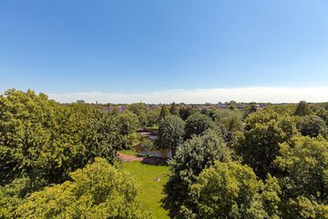 Park view