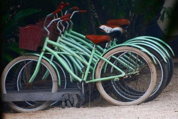 Bicycling