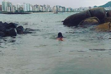 Photo 24