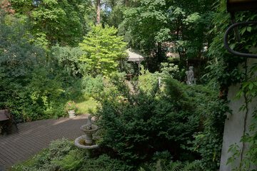 Garden view