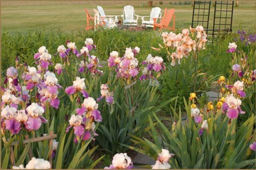 Property Grounds 55 of 62