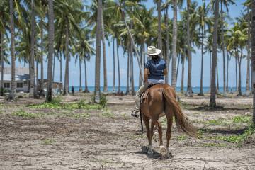 Horseback riding