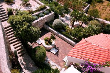 Photo 35