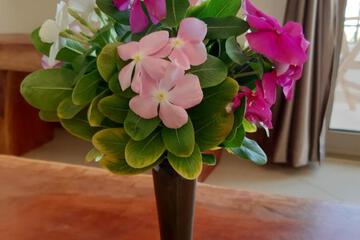 Photo 49
