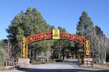 Children's activities