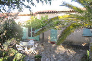 Terrace or Patio