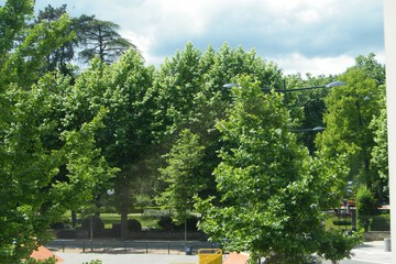 View from property