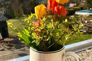 Photo 44