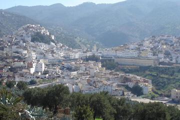 Photo 47