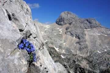 Outdoor rock climbing