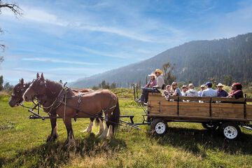 Children's activities