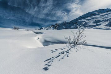 Mountain view