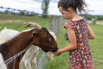 Children's activities