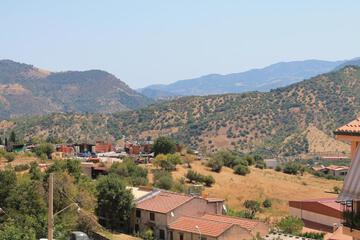 Photo 41
