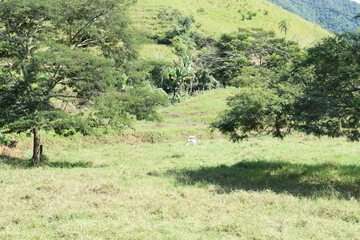 Ecotours