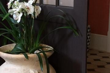 Photo 42