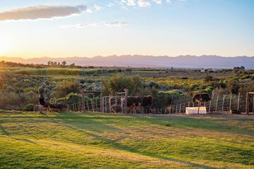 Land view from property