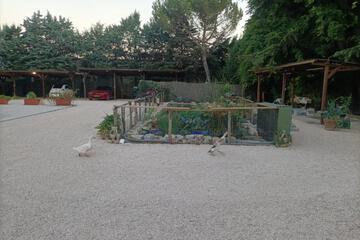 Photo 33