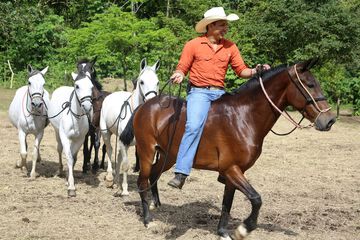 Horseback riding