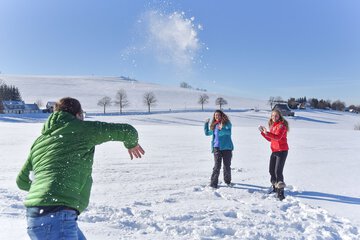 Snowshoeing