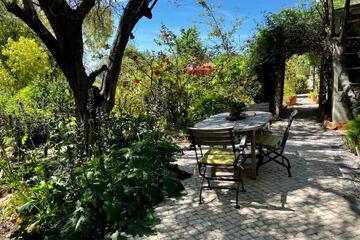 Photo 99