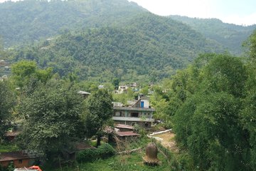 Land view from property